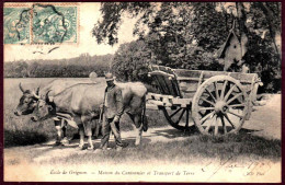 78 - T28139CPA - GRIGNON - Ecole - Maison Du Cantonnier Et Transport De Terre - Très Bon état - YVELINES - Grignon