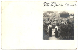 94 - T22702CPA - ARCUEIL - Fete Des Jardins D' Arcueil. - Parfait état - VAL-DE-MARNE - Arcueil