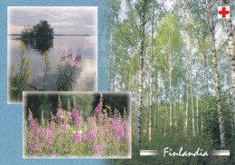 Postal Stationery - Summer Landscape - Lake - Red Cross 2003 - Finlandia - Suomi Finland - Postage Paid - Enteros Postales