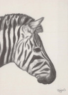 ZEBRA Tier Vintage Ansichtskarte Postkarte CPSM #PBR916.DE - Cebras