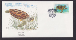 Belize Mittelamerika Fauna Tiere Suppenschildkröte Schöner KünstlerBrief - Belice (1973-...)