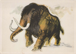 ELEFANTE Animale Vintage Cartolina CPSM #PBS757.IT - Elephants
