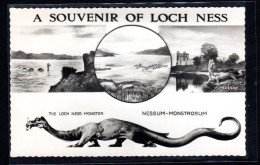 MONSTRE DU LOCH NESS 1962 - LOCH NESS MONSTER - NESSIE SCOTLAND - N2 - Fairy Tales, Popular Stories & Legends