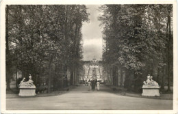 Potsdam - Neues Palais - Potsdam