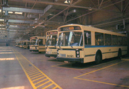 BELGIQUE - Bruxelles - Garage Des Autobus Au Dépôt D'Auderghem - AMUTRA N° 33 - Vervoer (openbaar)