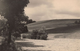 134290 - Klingenberg-Röthenbach - Landschaft - Klingenberg (Sachsen)