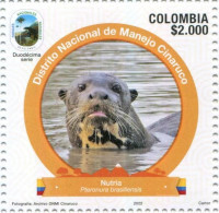 Lote 2022-24.1, Colombia, 2022, Sello, Stamp, Parques Nacionales, National Park 12 Issue, Nutria, Otter - Kolumbien