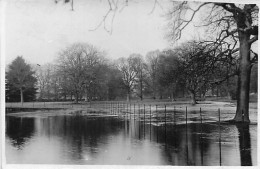 East Hampshire- Photo Card - FINCHDEAN - " Le Lavant " 1915 - Parc De Stansted - Rare - Altri & Non Classificati