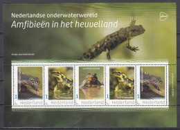 Nederland 2024 Onderwaterwereld : Amfibieen In Het Heuvelland: Vuursalamander, Vuurpad, Alpenwatersalamander, - Ongebruikt