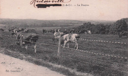 NESLES La VALLEE-la Prairie - Nesles-la-Vallée