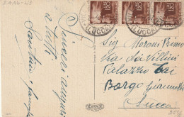 CARTOLINA 1946 LUOGOTENENZA 3X1,20 TIMBRO LUCCA (YK585 - Marcophilie