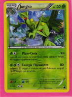 Carte Pokemon Francaise 2013 Noir Et Blanc Glaciation Plasma 8/116 Jungko 130pv Reverse Bon Etat - Negro Y Blanco