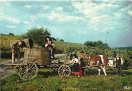 CPM - FRANCE - ALSACE - Les Vendanges - Alsace