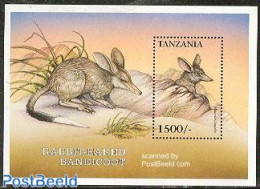 Tanzania 1999 Macrotis Lagotis S/s, Mint NH, Nature - Animals (others & Mixed) - Tanzania (1964-...)