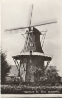 Loppersum Molen De Stormvogel  Koren- En Pelmolen Oude Auto's # 1973    4968 - Autres & Non Classés