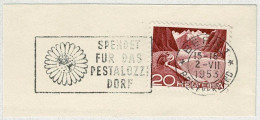 Schweiz / Helvetia 1953, Flaggenstempel Kinderdorf Pestalozzi Bern, Village D'enfants / Children's Village, Marienkäfer - Sonstige & Ohne Zuordnung