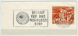 Schweiz / Helvetia 1950, Flaggenstempel Kinderdorf Pestalozzi Bern, Village D'enfants / Children's Village, Marienkäfer - Sonstige & Ohne Zuordnung