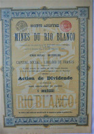 S.A. Mines Du Rio Blanco - Action De Dividende (1899 !!) - Bruxelles - Miniere