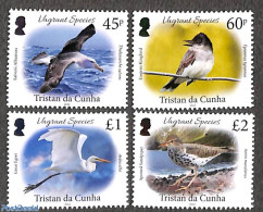 Tristan Da Cunha 2022 Vagrant Species 4v, Mint NH, Nature - Birds - Tristan Da Cunha