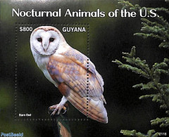 Guyana 2021 Noctural Animals Of The U.S. S/s, Mint NH, Nature - Birds - Owls - Guiana (1966-...)