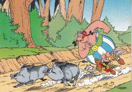 ASTERIX & OBELIX - Bandes Dessinées