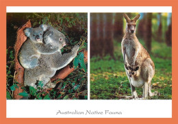 A513 / 041 Australie Australian Native Fauna Koala Kangourou - Non Classés