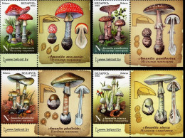 2022 0601 Belarus Poisonous Mushrooms Of Belarus MNH - Belarus