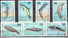 Kuba CUBA 1984 2828-2834 Whales And Dolphins. Marine Fauna Used Stamp Set - Dolphins