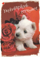 Postal Stationery - Dog - Westie Puppy - Terrier - Roses - Red Cross 2003 - Suomi Finland - Postage Paid - Interi Postali