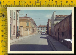 Mantova Rivalta Sul Mincio (foto, Piccola Spelatura Sul Retro) - Mantova