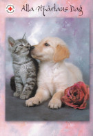 Cat - Kitten Meeting Golden Retriever Dog Puppy - Red Cross 2006 - Postal Stationery - Suomi Finland - Postage Paid - Interi Postali