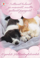 Cat - Kitten & Dog Puppy Sleeping - Red Cross 2011 - Postal Stationery - Suomi Finland - Postage Paid - Entiers Postaux