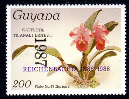 GUYANA - 1987 REICHENBACHIA CENTENARY ORCHIDS YEAR OVERPRINT PLATE 42 SERIES 1 FINE MNH ** SG 2125 - Guyana (1966-...)