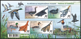 2023 1507 Belarus Features Of Waterfowl MNH - Bielorrusia