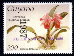 GUYANA - 1987 REICHENBACHIA CENTENARY ORCHIDS YEAR OVERPRINT PLATE 42 SERIES 1 FINE MNH ** SG 2125 - Guiana (1966-...)