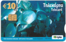 Cyprus - Cyta (Chip) - Two Banded Bream, Diplodus Vulgaris, 01.2010, 10€, 20.000ex, Used - Cipro