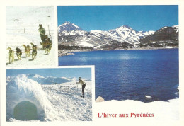 *CPM - FRANCE - MIDI-PYRENEES - L'Hiver Aux Pyrénées - Multivues - Traîneau Avec Chiens, Igloo, Lac - Midi-Pyrénées