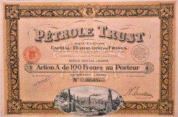 S.A. Petrole Trust - Action De 100 Francs Au Porteur  (1924) - Paris - Erdöl