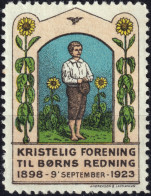 DANEMARK / DENMARK - 1923 Poster Stamp For The 25th Anniversary Of The Danish Christian Association For Children - Mint* - Christianity