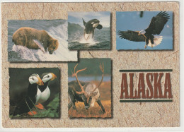 Alaska - Andere & Zonder Classificatie