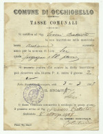 COMUNE DI OCCHIOBELLO - TASSE COMUNALI 1907 - Historical Documents