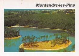 17-MONTENDRE LES PINS-N°3382-C/0085 - Montendre