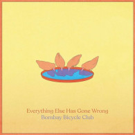 Everything Else Has Gone Wrong - Sonstige & Ohne Zuordnung