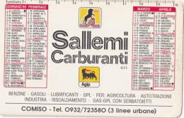 Calendarietto - AGIP - Sallemi Carburanti - Cosimo - Anno 1995 - Small : 1991-00