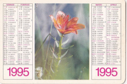 Calendarietto - Anno 1995 - Petit Format : 1991-00