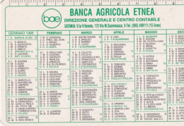 Calendarietto - Banca Agricola Etnea - Catania - Anno 1995 - Petit Format : 1991-00