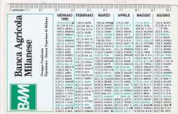 Calendarietto - Banca Agricola Milanese - Anno 1995 - Petit Format : 1991-00