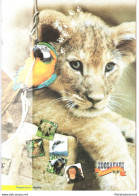 2003 Italia - Repubblica , Folder -  Zoo Safari Di Fasano - Folder N° 62 MNH** - Presentatiepakket