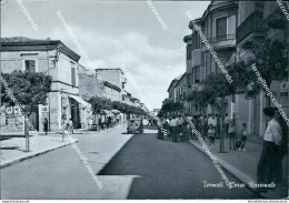 Cl535 Cartolina Termoli Corso Nazionale Provincia Di Campobasso Molise - Campobasso