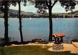 ISERE  Lac De Paladru Voiliers Sur Le Lac  (scan Recto-verso) KEVREN0315 - Paladru